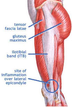 IT Band Anatomy