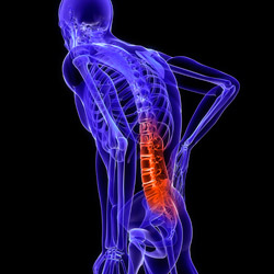 injury-spinal-column